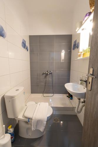 a bathroom with a toilet and a sink at Lixourious Apartment in Lixouri