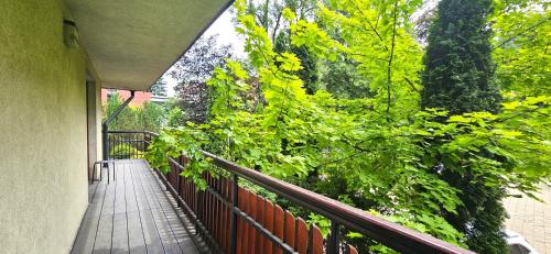 a balcony with a fence and some plants at VIP Apartamenty Sienkiewicza in Zakopane