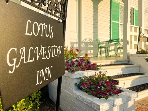Φωτογραφία από το άλμπουμ του Lotus Galveston σε Γκάλβεστον
