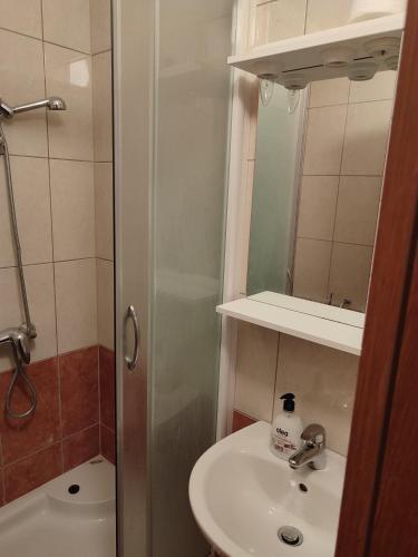 a bathroom with a sink and a toilet and a mirror at Rooms Zdravko and Nevenka Cilic in Međugorje