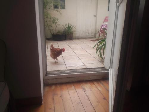 Photo de la galerie de l'établissement Madame Miloute, à Trôo