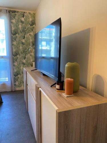 Palm Leaf Studio Nice