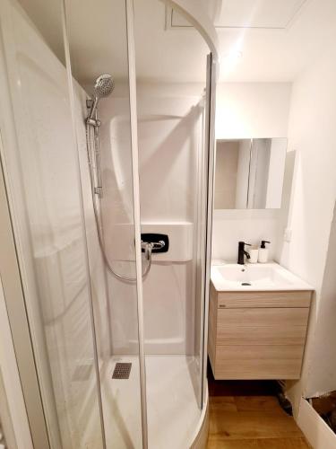 une salle de bain avec douche et lavabo dans l'établissement Beau 2 pièces charme et confort, à Dieppe