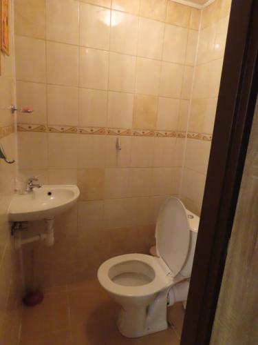 a bathroom with a toilet and a sink at Chalupa Jája a Pája Tomíkovice in Jeseník