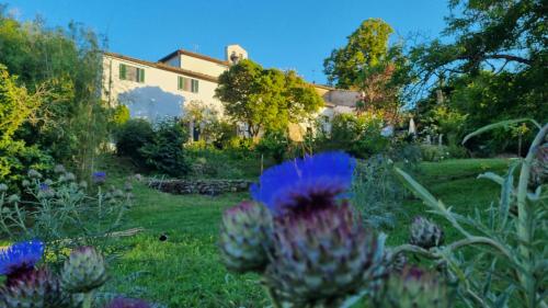 a garden with a house in the background at Borgo San Michele Incisa Tuscany in Incisa in Valdarno