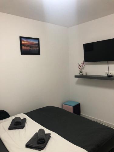 a room with two beds and a flat screen tv at Apartma Šmit in Vir