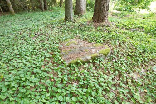 Giardino di Pasakų trobelė