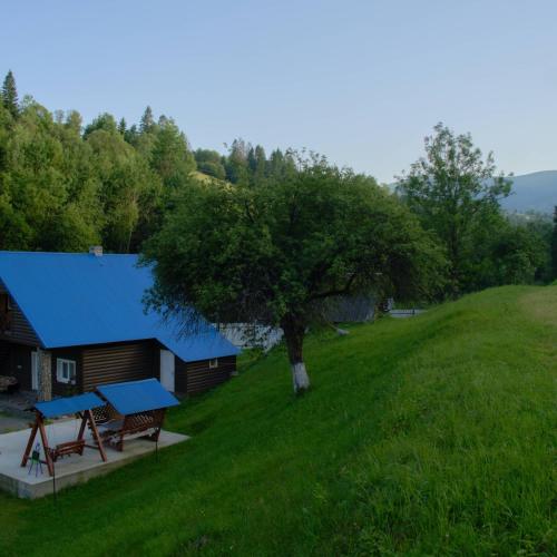 a house with a picnic table and a tree at "Відпочинок в Карпатах" in Izki