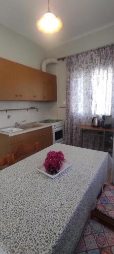 Kuchyň nebo kuchyňský kout v ubytování Dimitras 2 Bedroom Apartment