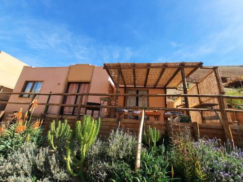 Un jardín fuera de Cabañas "Terrazas de Orión" con Vista Panorámica en Pisco Elqui