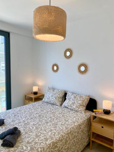 Mulata Olive Suite