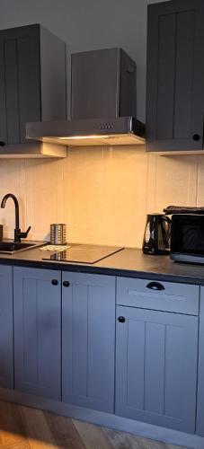 a kitchen with blue cabinets and a sink at Spacerowa, centrum, 2 pokoje, balkon, dla 1- 4 osób in Piła