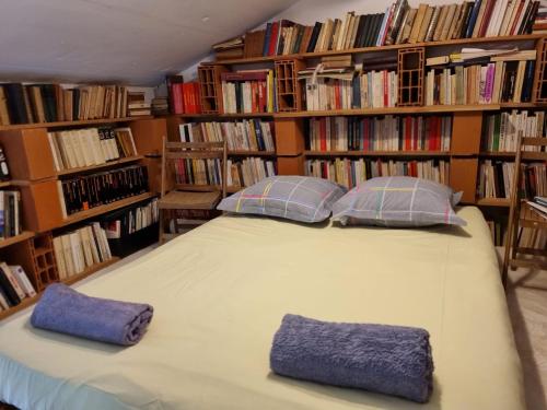 un grand lit avec deux oreillers dans une bibliothèque dans l'établissement Maisonnette dans village médiéval - 2 pers - piscine privée & jardin, à Fourcès