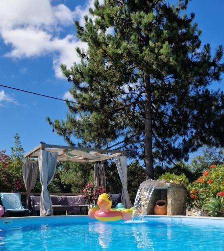 Πισίνα στο ή κοντά στο Casa Aiana