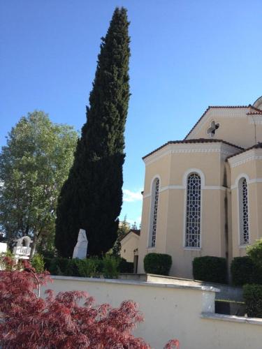 a church with a large tree in front of it at Private Rooms in shared house in Thessaloniki