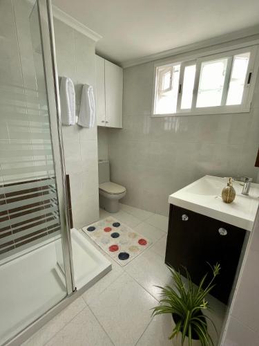a bathroom with a shower and a sink and a toilet at Lar da Amarella in Ribeira