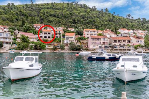 Seaside holiday house Brna, Korcula - 19219