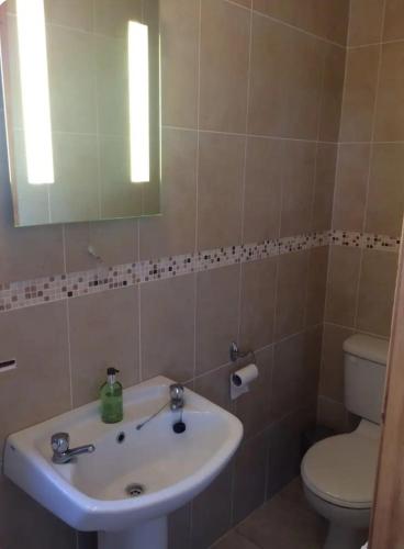 a bathroom with a sink and a toilet and a mirror at Beachmount House in Cork