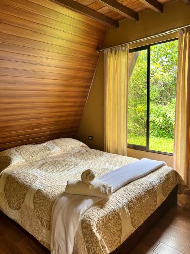 Una cama o camas en una habitación de Pavón dorado