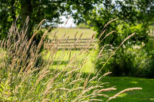 a field with tall grass in a yard at Marcassie Farm Lodges - Ash Studio in Forres