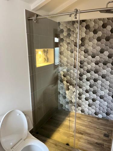 a bathroom with a shower with a toilet at Apartamento Marquesa in Villa de Leyva