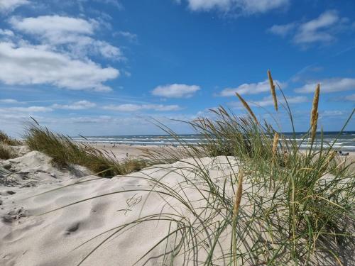 a sandy beach with some grass and the ocean at Ferienappartment Weisse Düne in Norden