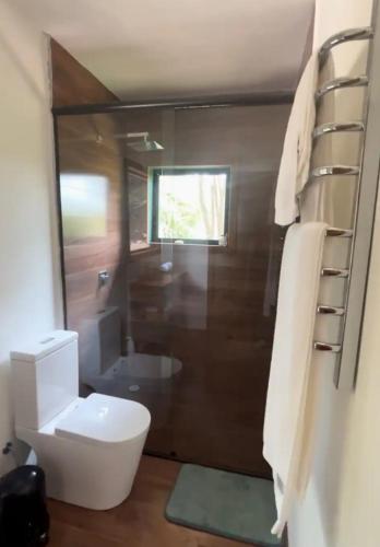 a bathroom with a toilet and a sink at Cabana do Mato com ofurô, cesta para café da manhã e pet friendly in Gonçalves