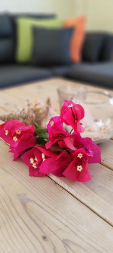 a bunch of pink flowers on a wooden table at CAS IGUANA - Curacao - Villapark Fontein - Ferienhaus mit Pool in Fontein