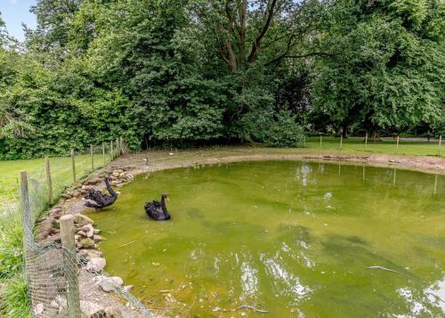 Binatang di taman percutian atau berdekatan