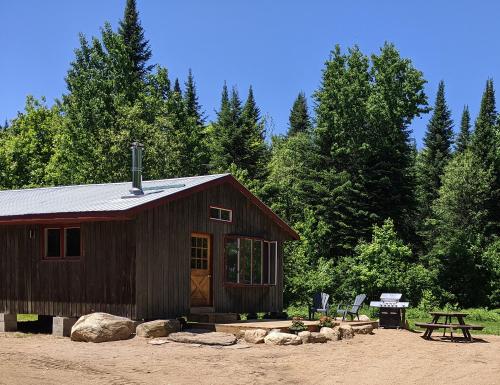 Κήπος έξω από το Meadowlark Cabin #5