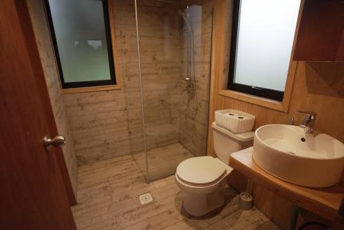 a bathroom with a shower and a toilet and a sink at Pucontours River Lodge in Pucón