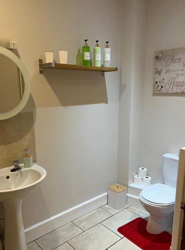 a bathroom with a white toilet and a sink at MacIver City Apartment Academy Street in Inverness