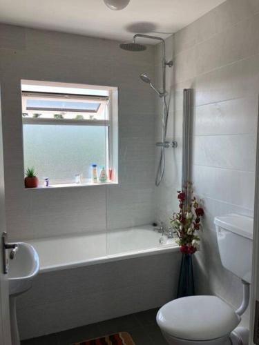a bathroom with a shower and a toilet and a window at Farmer's Cottage in Puckaun