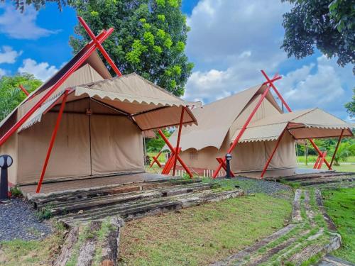 a group of three tents in a field at Tayama Farm Khaoyai in Nakhon Ratchasima