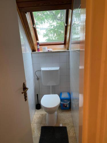 a small bathroom with a toilet with a window at Luxury 3 BR Vila in a forest 10min drive from city center in Budapest