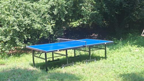 a blue ping pong table sitting in the grass at Szentendrei sziget, modern faház, télen is in Szigetmonostor