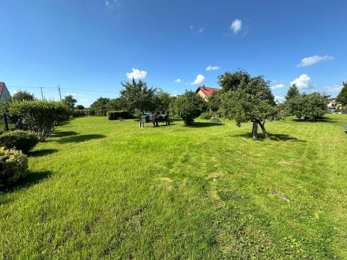 a grassy field with trees and people in it at Stara Szkola - Wielki Medromierz 59 in Wielki Modromierz