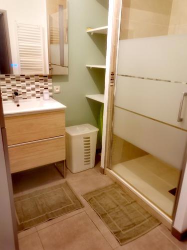 une salle de bain avec une douche, un lavabo et un miroir dans l'établissement Grand appartement avec garage et terrasse, à Castelnau-le-Lez