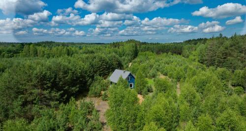 an aerial view of a blue house in the middle of a forest at Niebieski Domek nad Marychą in Stanowisko