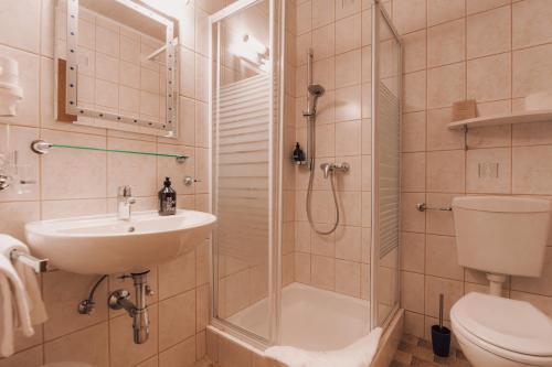 a bathroom with a shower and a sink and a toilet at brandgut - vor Freude glühen in Viehhofen