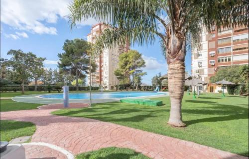 una palmera en un parque con piscina en Complejo Mediterráneo, en Masalfasar