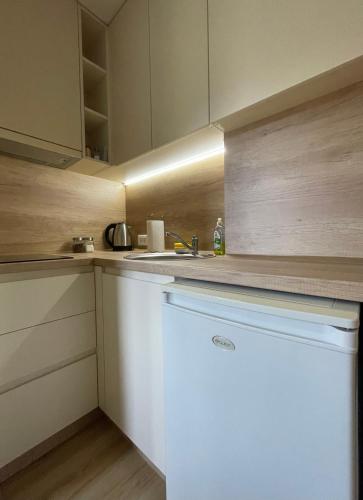 a kitchen with white cabinets and a white dishwasher at Apartmani Videnovic Sokobanja in Soko Banja