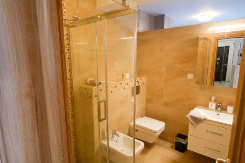 a bathroom with a shower and a toilet and a sink at Hunyadi Luxury Dna Stanca 1 in Sibiu