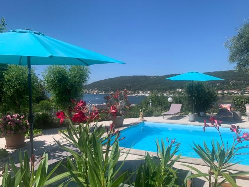a swimming pool with umbrellas and flowers at Villa Saranda in Supetarska Draga