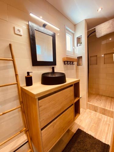 une salle de bain avec un lavabo et un miroir dans l'établissement Maison sur terrain spacieux 6 personnes proche des plages - RARE - V0826, à Vias