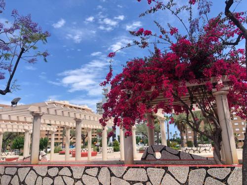 a gazebo with pink flowers on it at Regata Playa in Oropesa del Mar