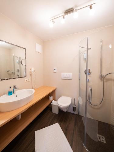 a bathroom with a sink and a toilet and a shower at Hotel Das Lisann in Pfelders