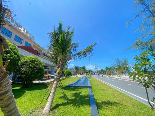 a palm tree on the side of a street at DongHu Resort Hotel in Sihanoukville