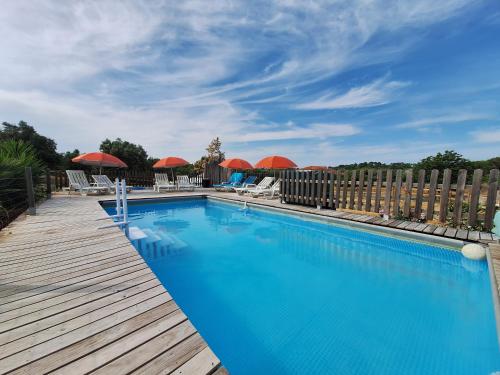 a swimming pool with chairs and umbrellas on a building at Casa Dani studio's, Tomar in Carregueiros
