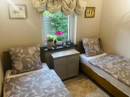 a bedroom with two beds and a window with flowers at Domek wakacyjny in Lubin
